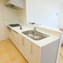 ディスポーザ・食器洗浄乾燥機・浄水器が搭載された便利キッチンです。お料理が効率的に作れますし、準備や後片付けも楽になります。キッチン